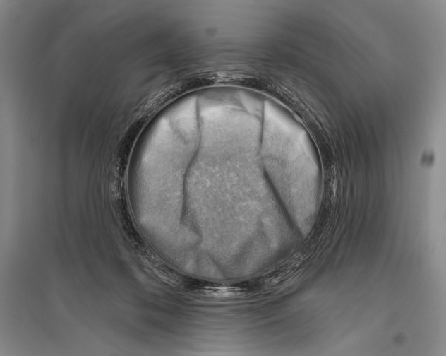 X0000096190316200802151509