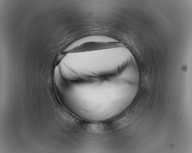 X0000096190317200802151509