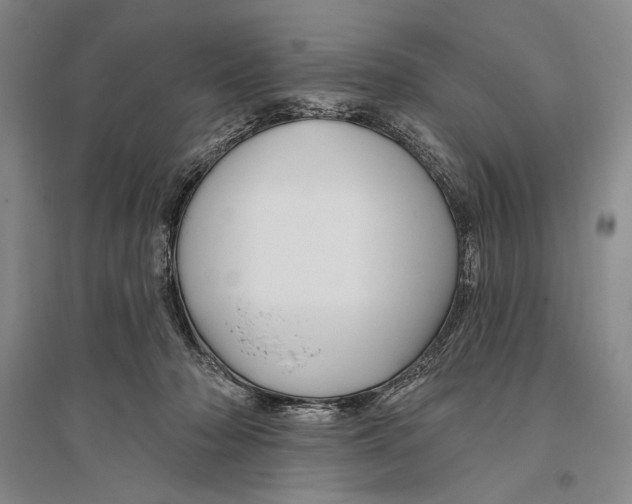 X0000096190318200802151509