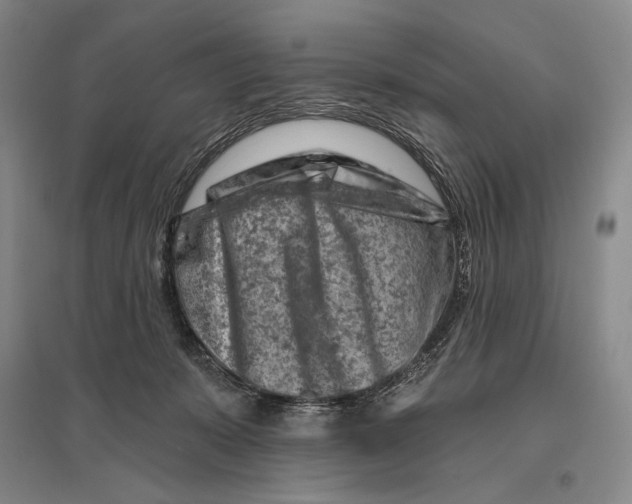 X0000096190319200802151509