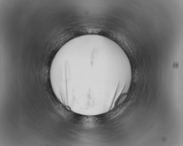 X0000096190321200802151509