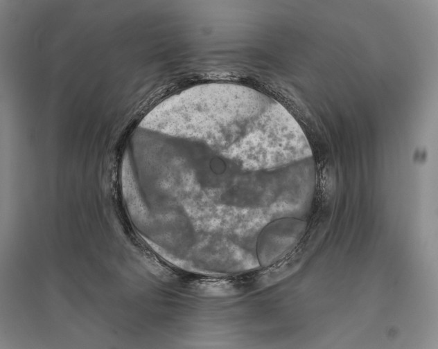 X0000096190322200802151509