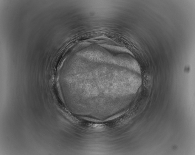 X0000096190324200802151509