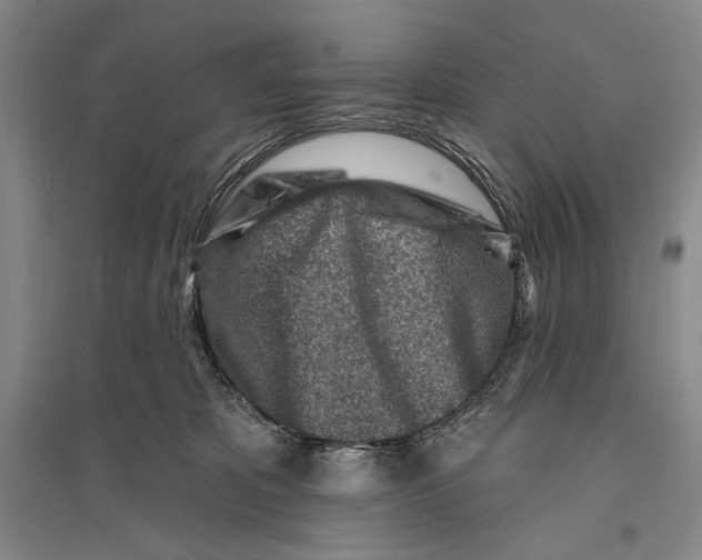 X0000096190325200802151509