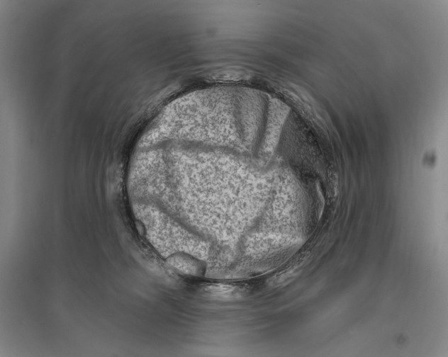 X0000096190326200802151509