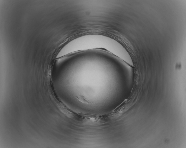 X0000096190329200802151509