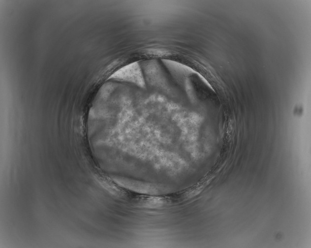 X0000096190330200802151509