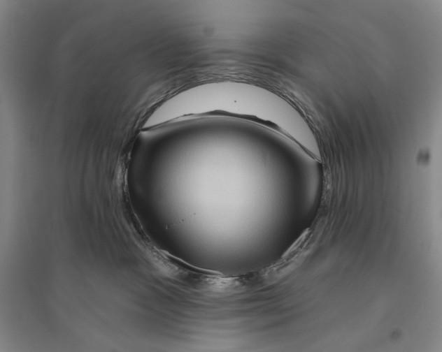 X0000096190333200802151508