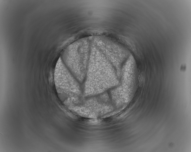 X0000096190335200802151508