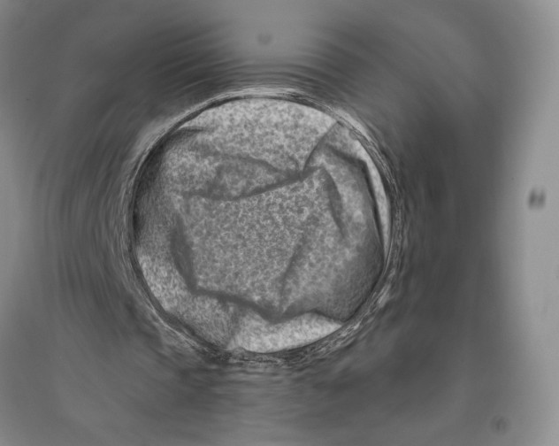 X0000096190337200802151508