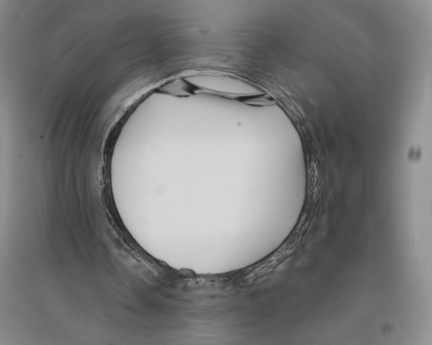 X0000096190338200802151508