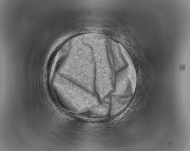 X0000096190342200802151508