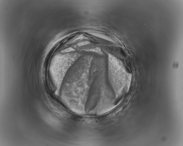 X0000096190343200802151508