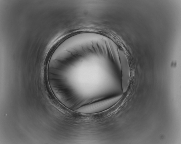 X0000096190344200802151508