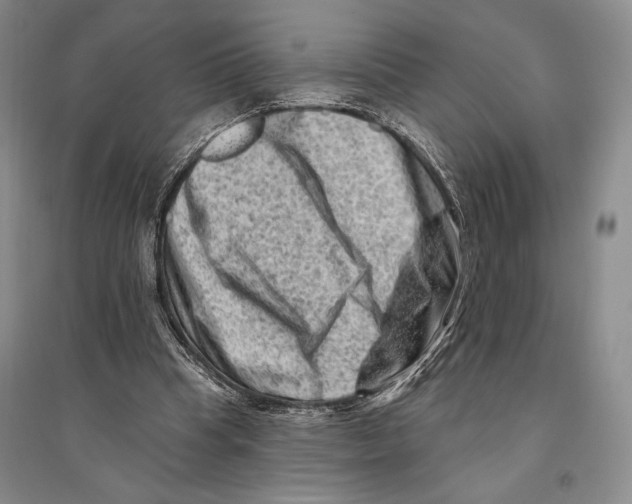 X0000096190345200802151508