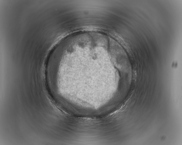 X0000096190347200802151508