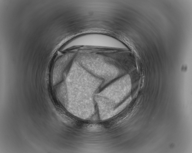 X0000096190348200802151508