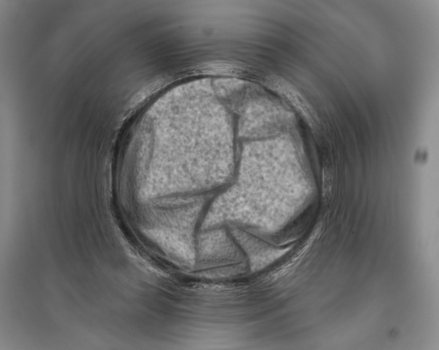 X0000096190349200802151508