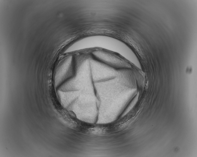 X0000096190356200802151508