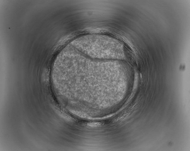 X0000096190357200802151508