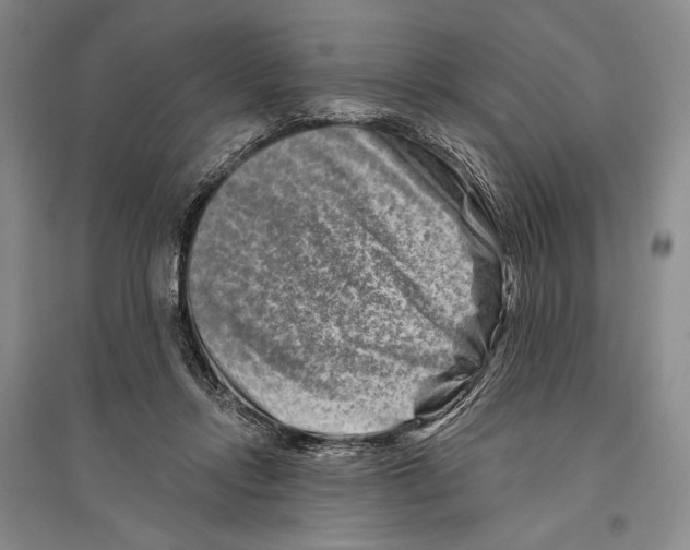 X0000096190358200802151508