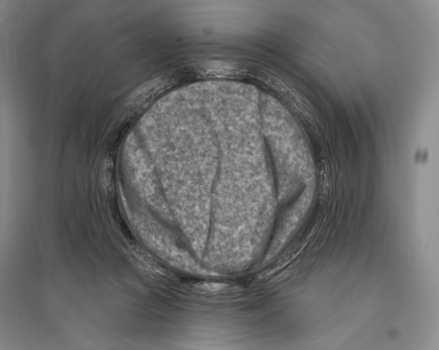 X0000096190361200802151508