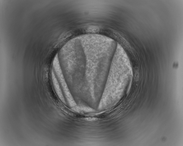 X0000096190363200802151508