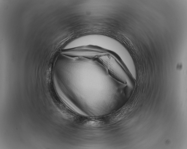 X0000096190364200802151508