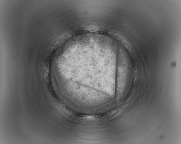 X0000096190365200802151508