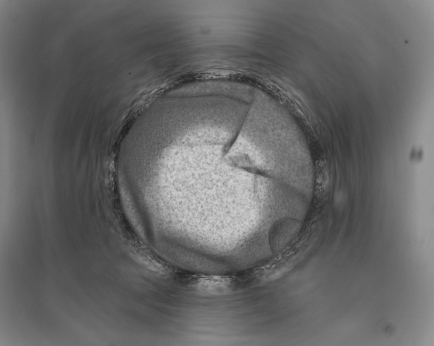 X0000096190369200802151508