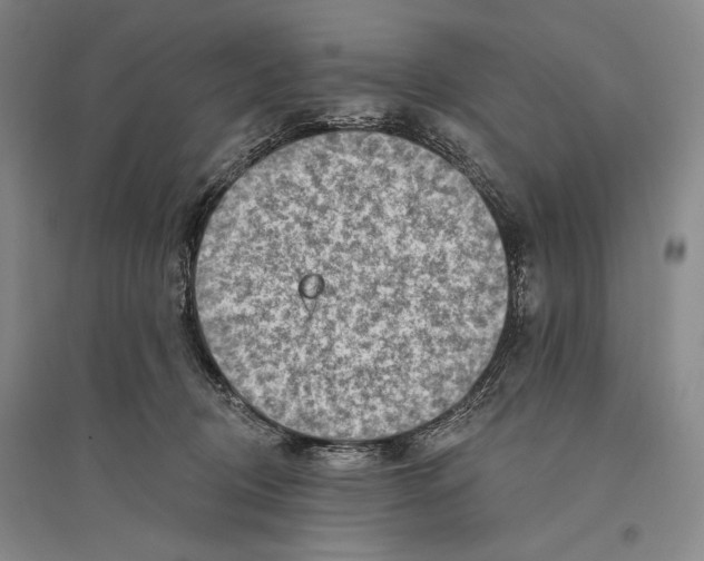 X0000096190370200802151508