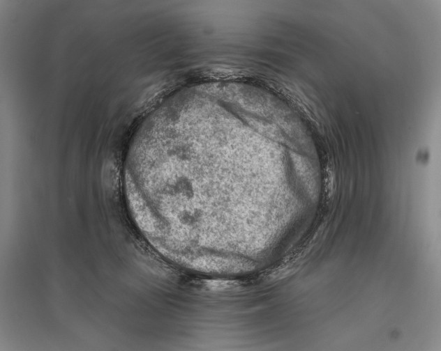 X0000096190371200802151508