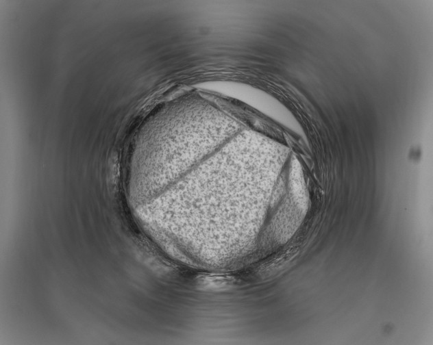 X0000096190372200802151508