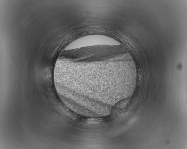 X0000096190373200802151508