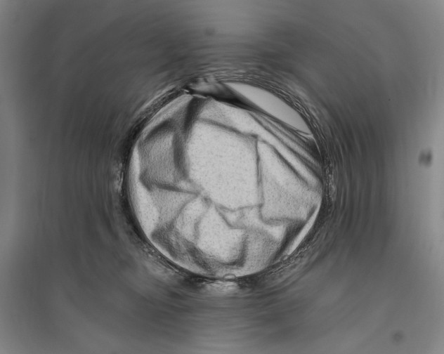 X0000096190374200802151508