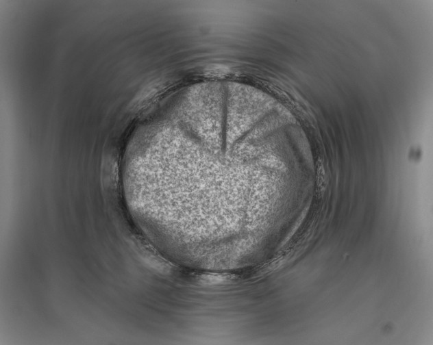 X0000096190375200802151508