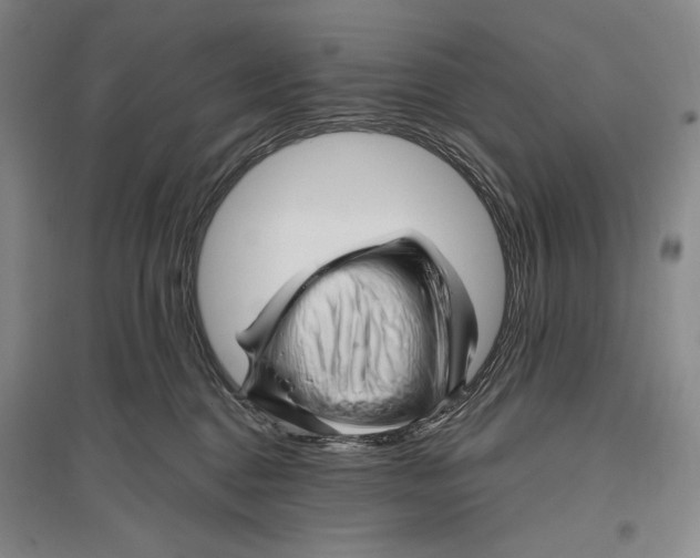 X0000096190376200802151508