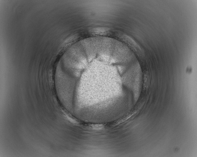 X0000096190377200802151508