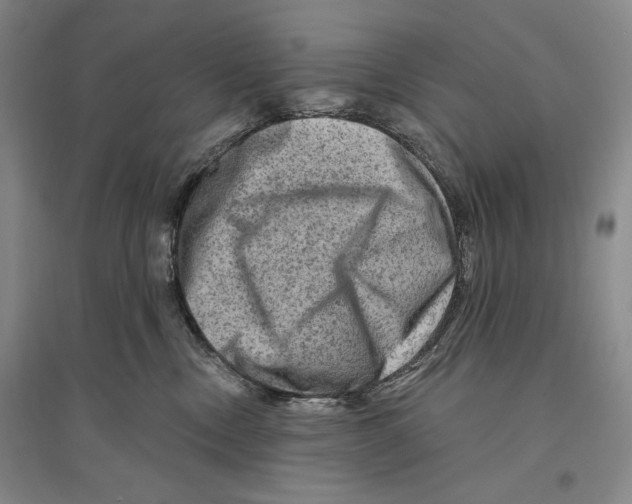 X0000096190378200802151508