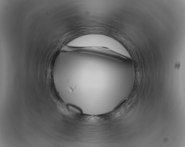 X0000096190379200802151508