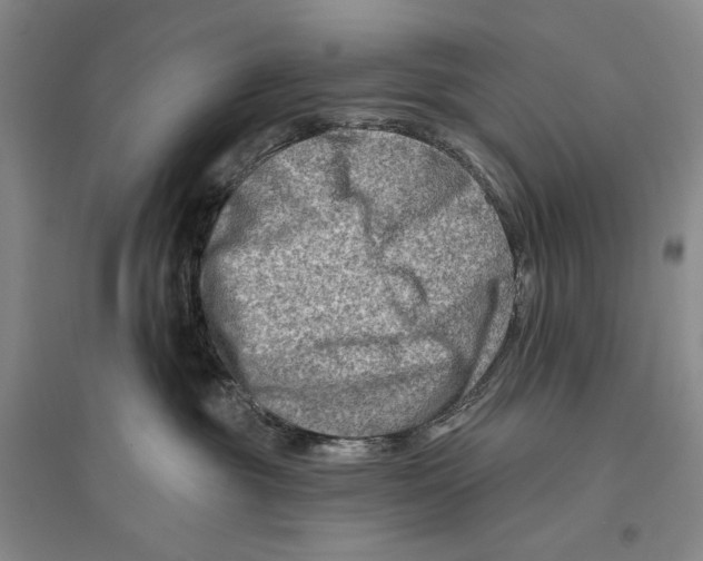 X0000096190381200802151508