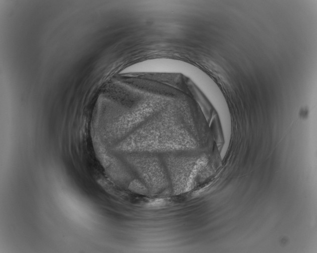 X0000096190382200802151508