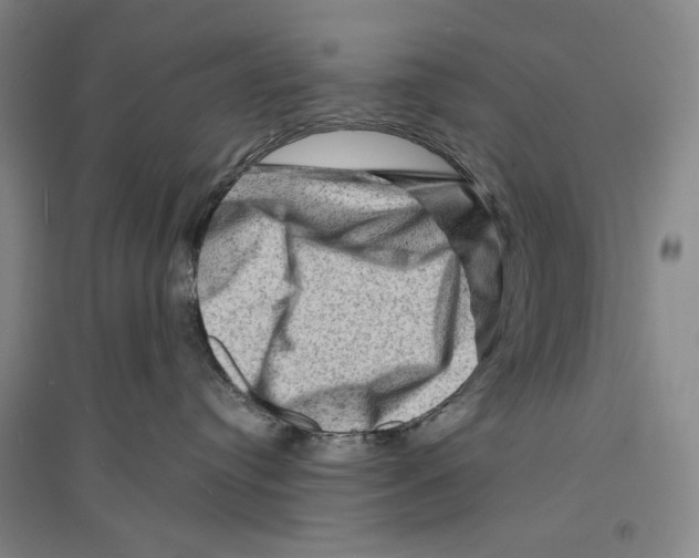 X0000096190384200802151508