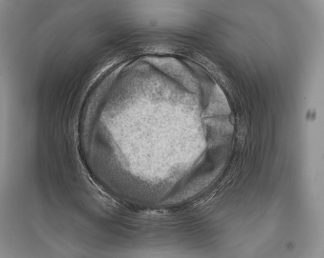 X0000096190386200802151508