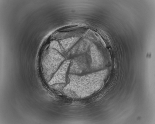 X0000096190388200802151508