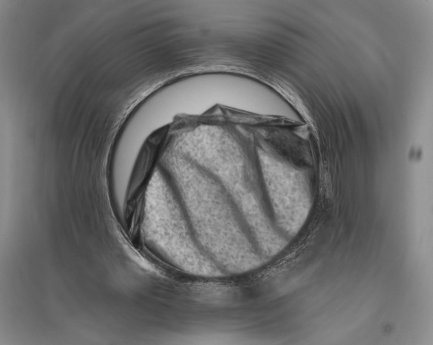 X0000096190389200802151508