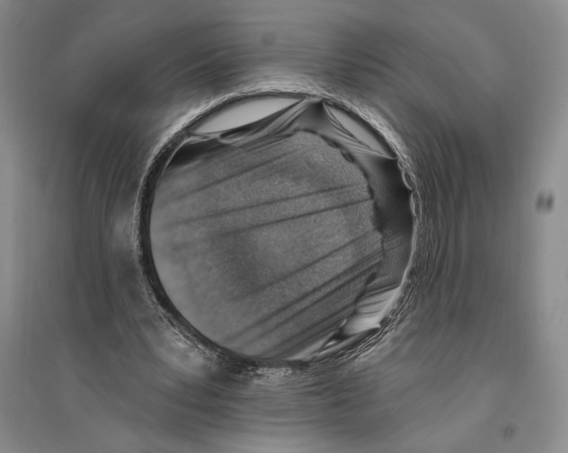 X0000096190391200802151508