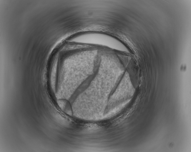 X0000096190392200802151508