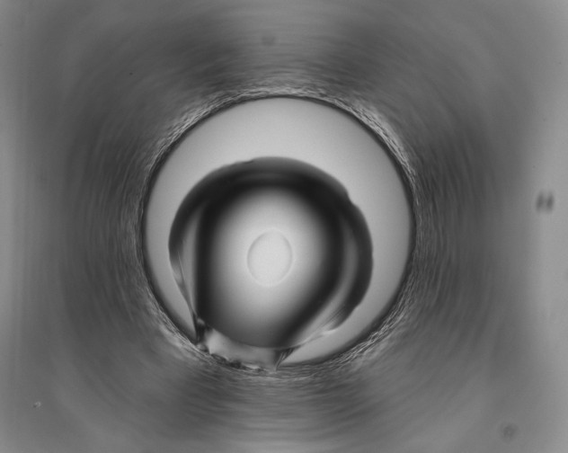 X0000096190393200802151508