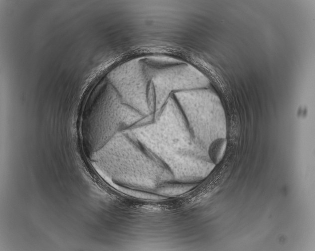 X0000096190394200802151508